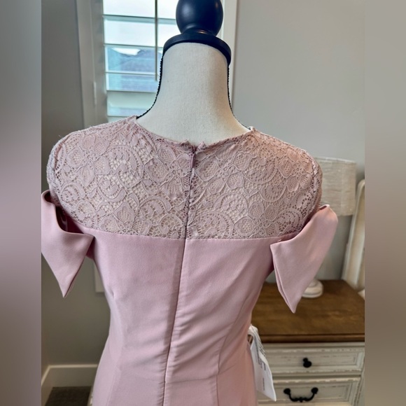 NWT JS Collection Elegant Pink Evening Gown size 6 - Picture 6 of 10